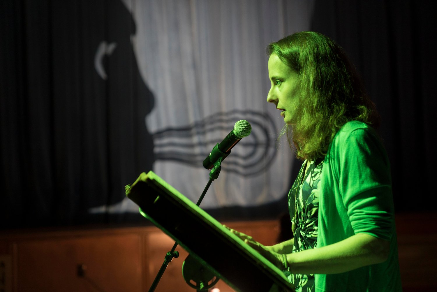 Emily Wilson appeared at the previous Deep Water Literary Fest.